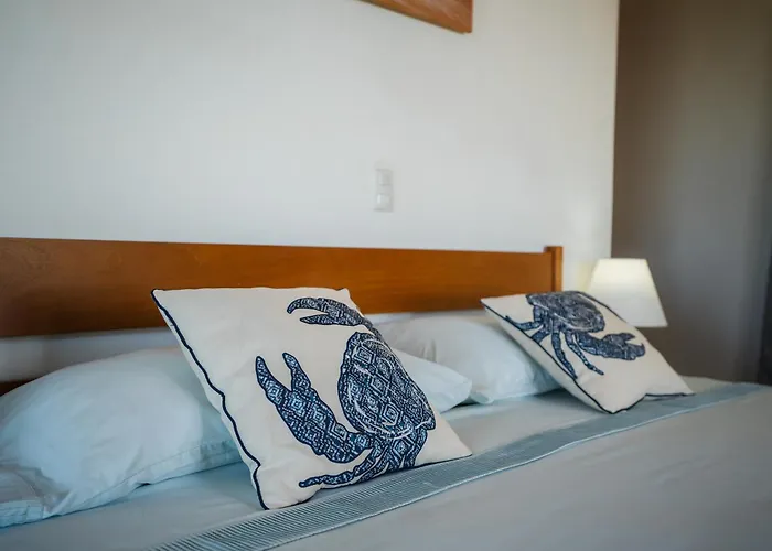 Lodge Las Estrellas De Samara - Ocean View